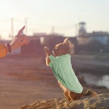 Cable-knit sweater