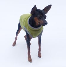 Everyday fleece pullover
