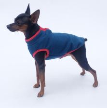 Everyday fleece pullover