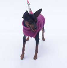 Everyday fleece pullover