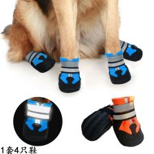 Dual-strap walking boots