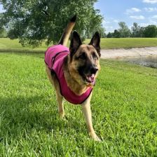 Evaporative cooling vest