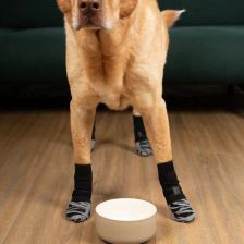 Strap-fit grip socks