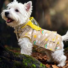 Visor-hood raincoat