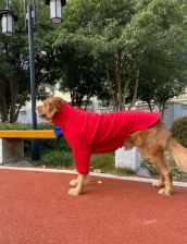 Coral-fleece coat