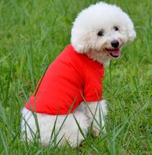 Everyday polo shirt