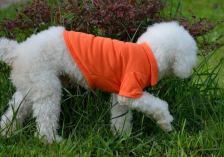Everyday polo shirt