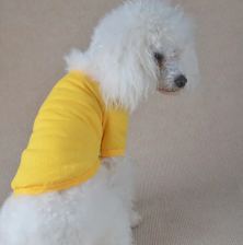 Everyday polo shirt