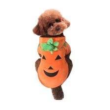 Pumpkin party outfit