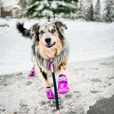 Winter trail boots