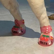 Open summer sandals