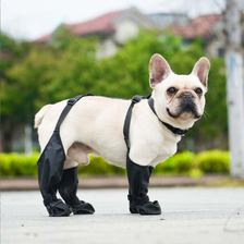 Suspender-leg boots