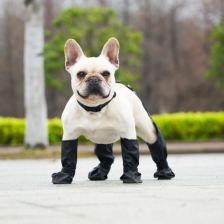 Suspender-leg boots