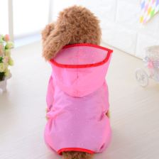 Small-dog hooded rainwear