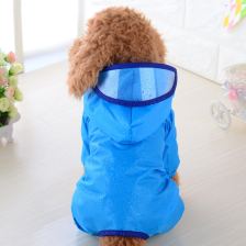 Small-dog hooded rainwear