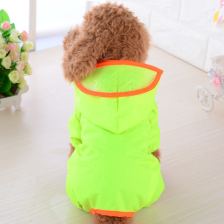 Small-dog hooded rainwear