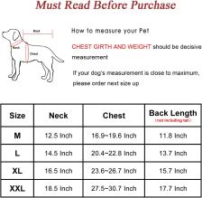 Reversible leash-access coat