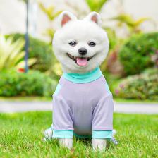 Four-leg summer suit