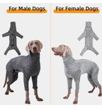 Long-neck four-leg bodysuit