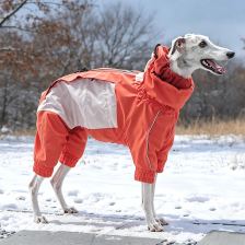 High-neck four-leg winter suit