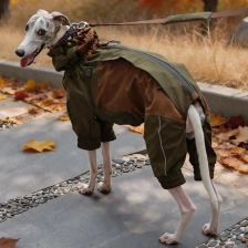 High-neck four-leg winter suit
