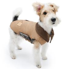 Collared barn-style coat