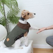 Collared barn-style coat