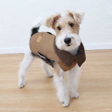 Collared barn-style coat