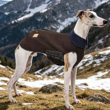 Collared barn-style coat