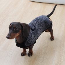 Long-back short-leg coat