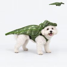 Crocodile-detail costume