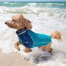 Front-zip beach-suit reference