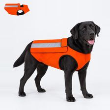 Bright-panel outdoor vest reference