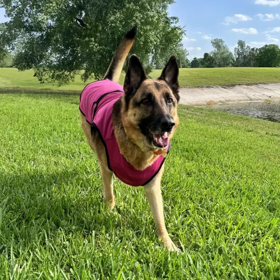 Evaporative cooling vest