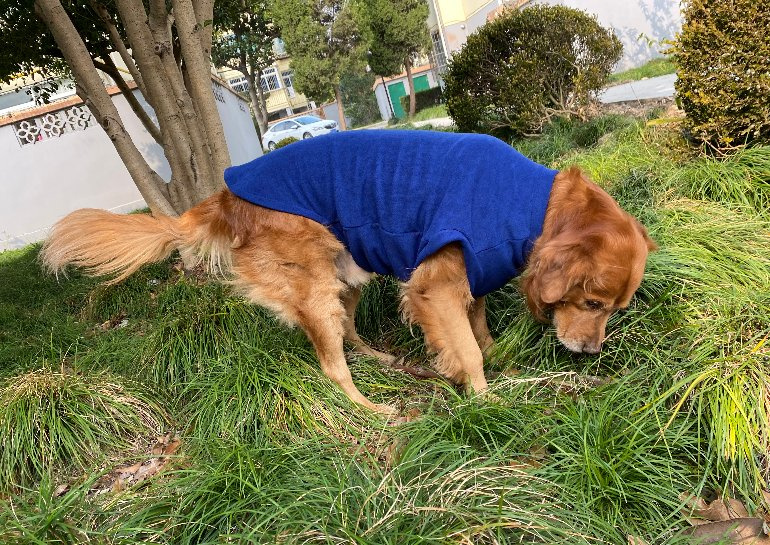 Coral-fleece coat
