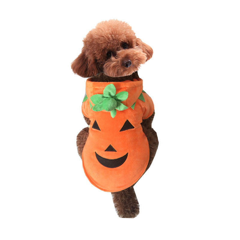 Pumpkin party outfit
