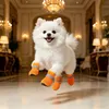 Small-paw mesh-style shoes