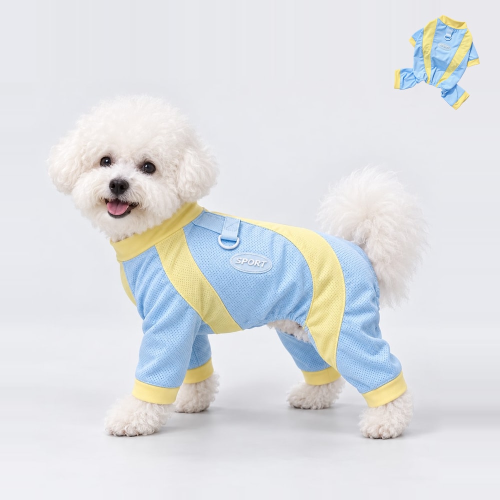 Four-leg summer suit