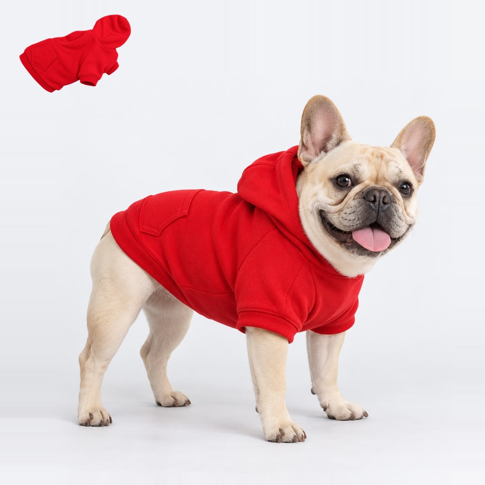 Plain hooded sweatshirt